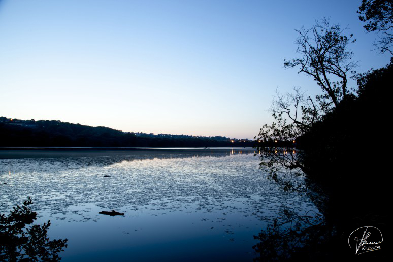 mg_1083-43