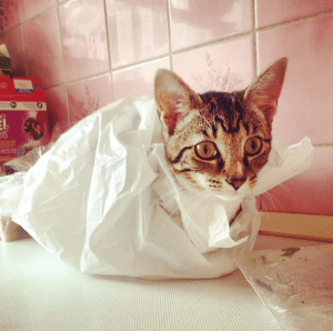 Screen Shot 2015-03-28 at 18.35.58