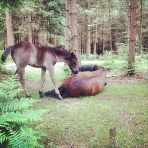 Screen Shot 2015-03-28 at 18.36.58