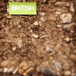 Screen Shot 2015-03-28 at 18.38.46