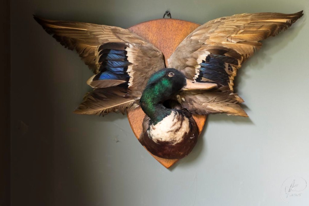 IN To The&nbsp;Green